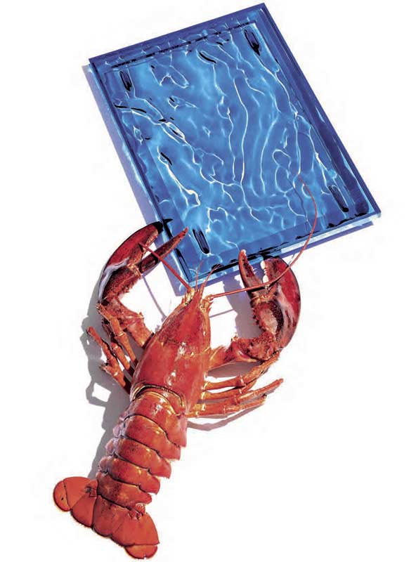 デューンS｜Kartell｜カルテルオフィシャルサイト｜イタリア製 家具