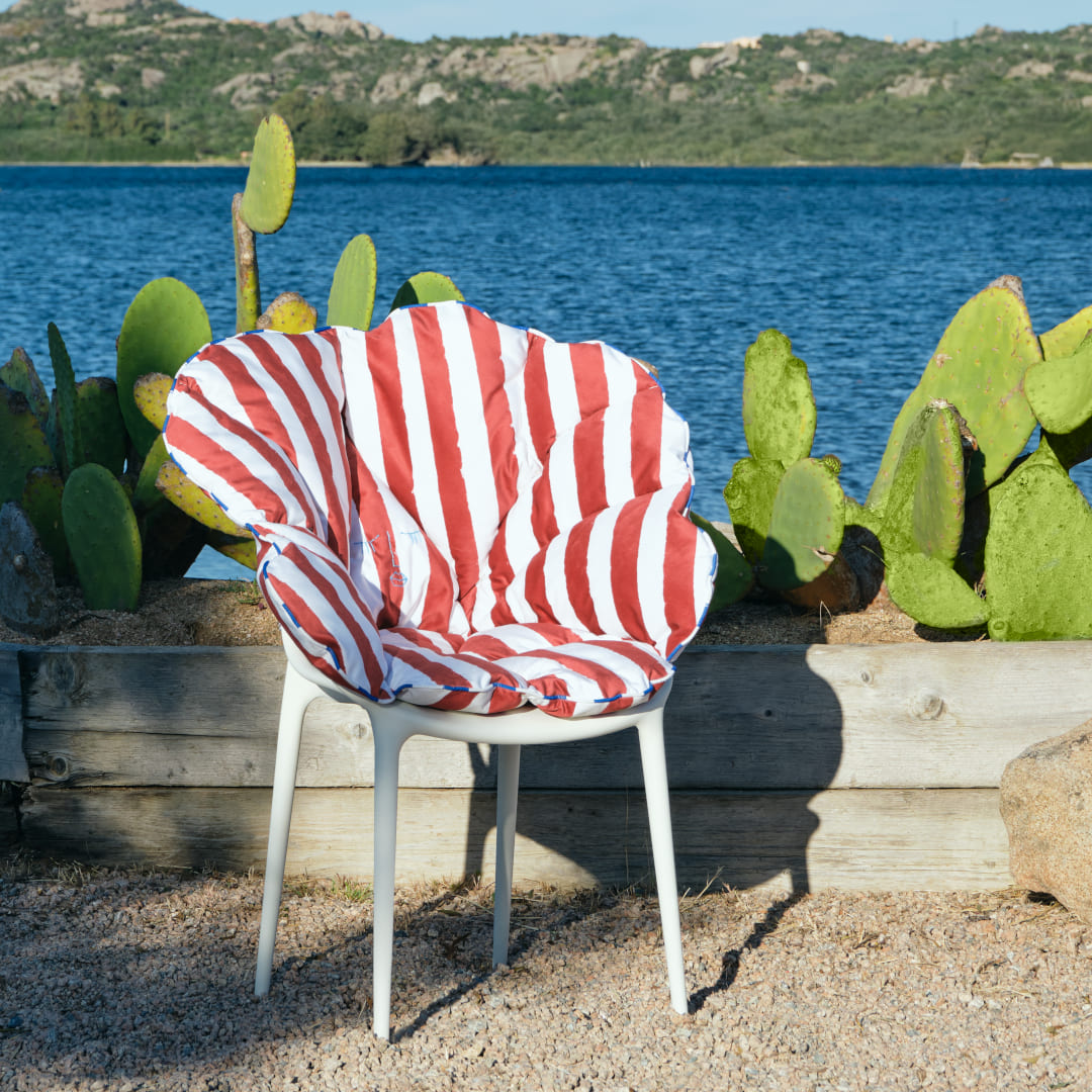 セット品】アリスズフラワーズクッションブルーxマスターズホワイト